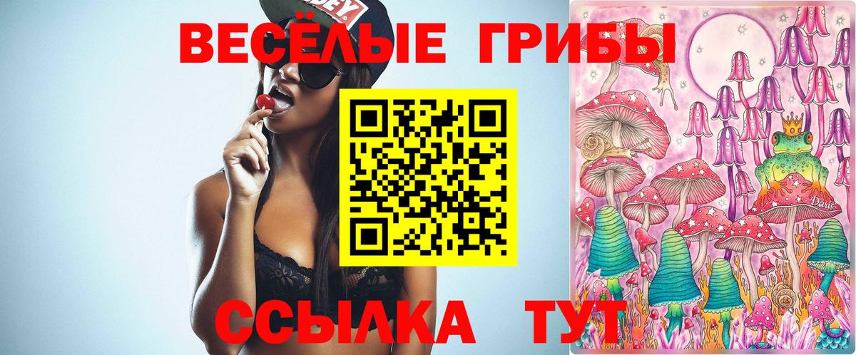 Псилоцибиновые грибы Psilocybine cubensis  Вход с VPN  Ростов-на-Дону 