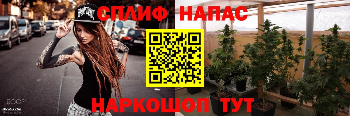 Бошки Шишки марихуана Ростов-на-Дону